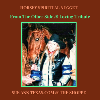 Horse Sunny from The Other Side & A Loving Tribute
