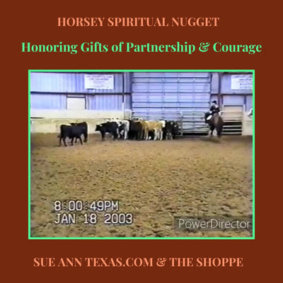 Honoring Gifts of Horse Sunny. Partnership & Courage