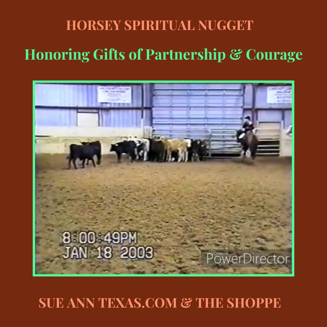 Honoring Gifts of Horse Sunny. Partnership & Courage - SueAnnTexas.Com & The Shoppe