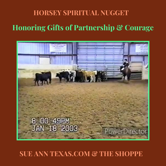 Honoring Gifts of Horse Sunny. Partnership & Courage - SueAnnTexas.Com & The Shoppe