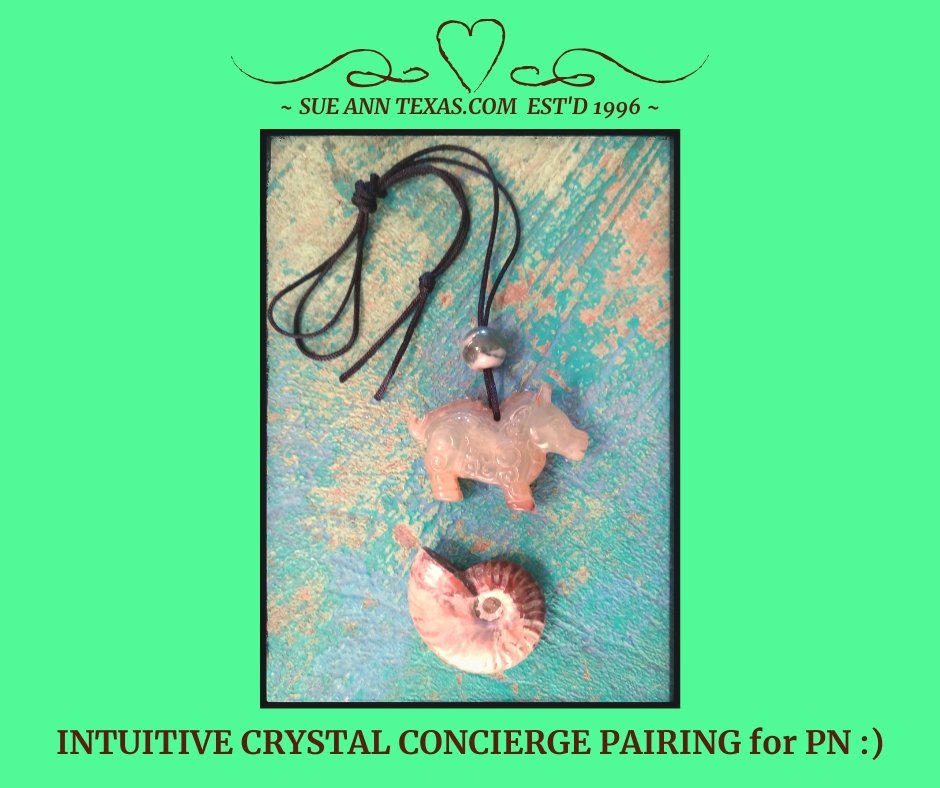SOLD: For PN. Concierge Service. Special Ancient Horse Carving with Polished Ammonite Fossil. Great Energy Combo! - SueAnnTexas.Com & The Shoppe